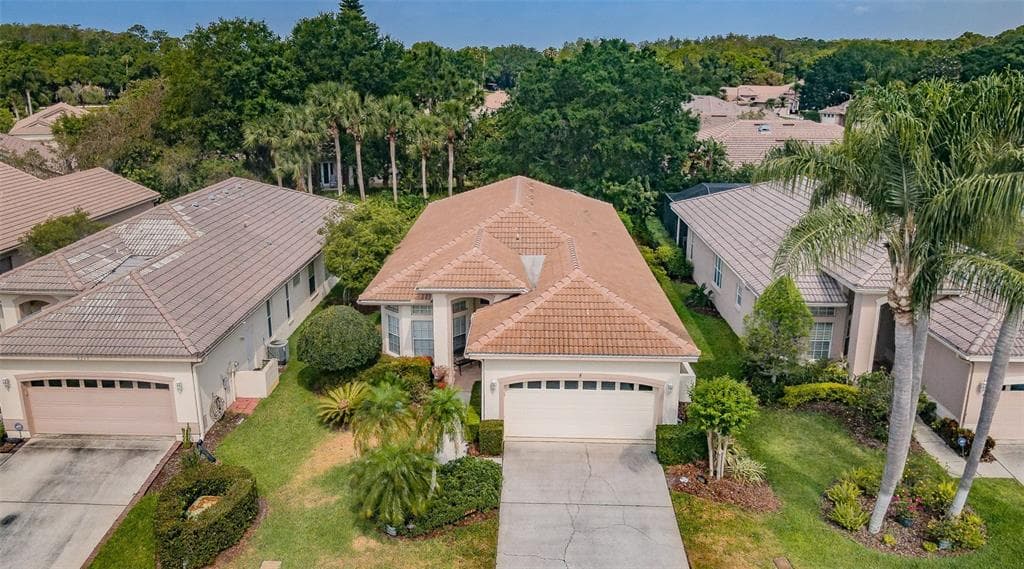 4377 LIVE OAK BOULEVARD PALM HARBOR, FL 34685
