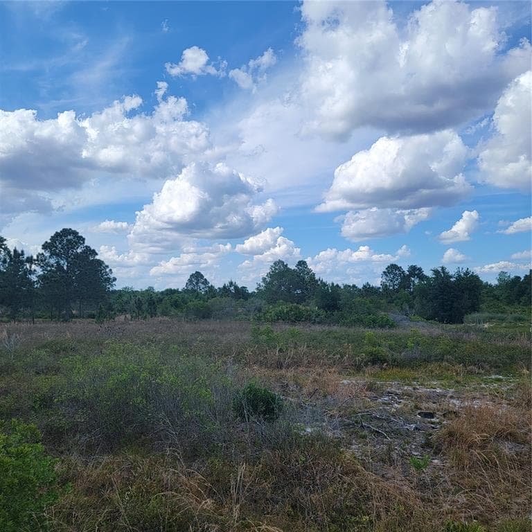 SUGARFOOT AVENUE LAKE WALES, FL 33859