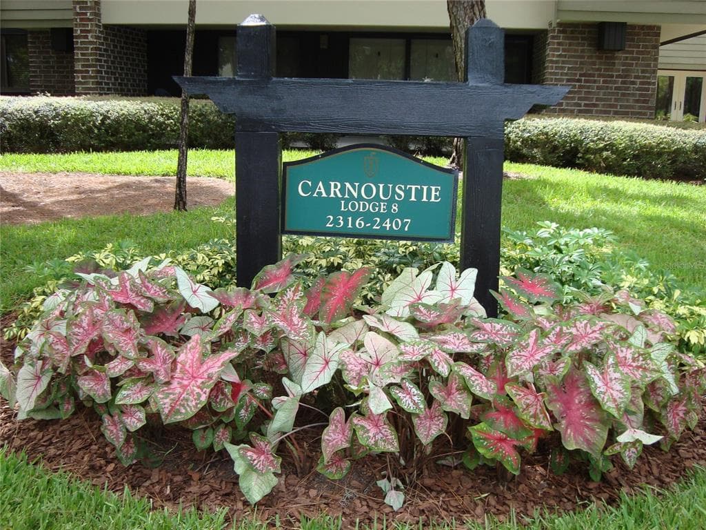 36750 US HIGHWAY 19 N UNIT 3-125 PALM HARBOR, FL 34684