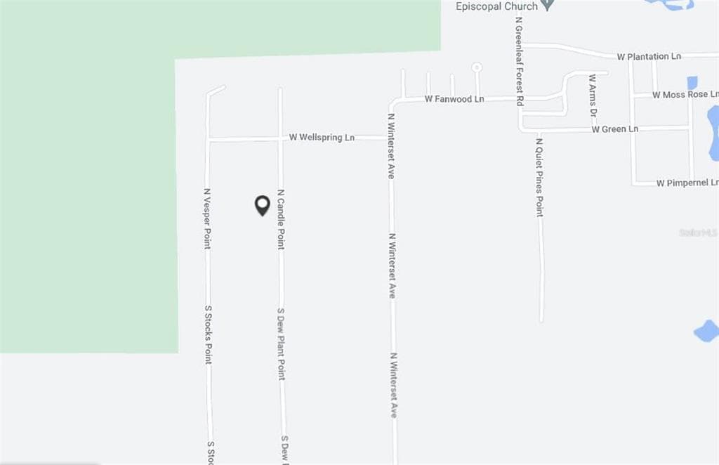 238 N CANDLE POINT CRYSTAL RIVER, FL 34429