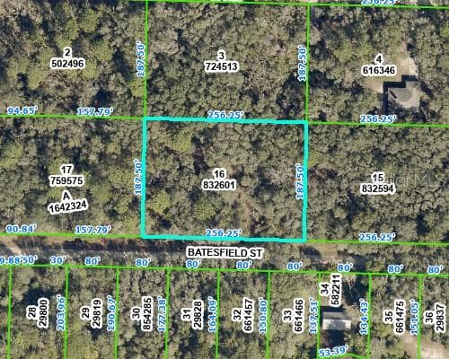 BATESFIELD STREET WEBSTER, FL 33597
