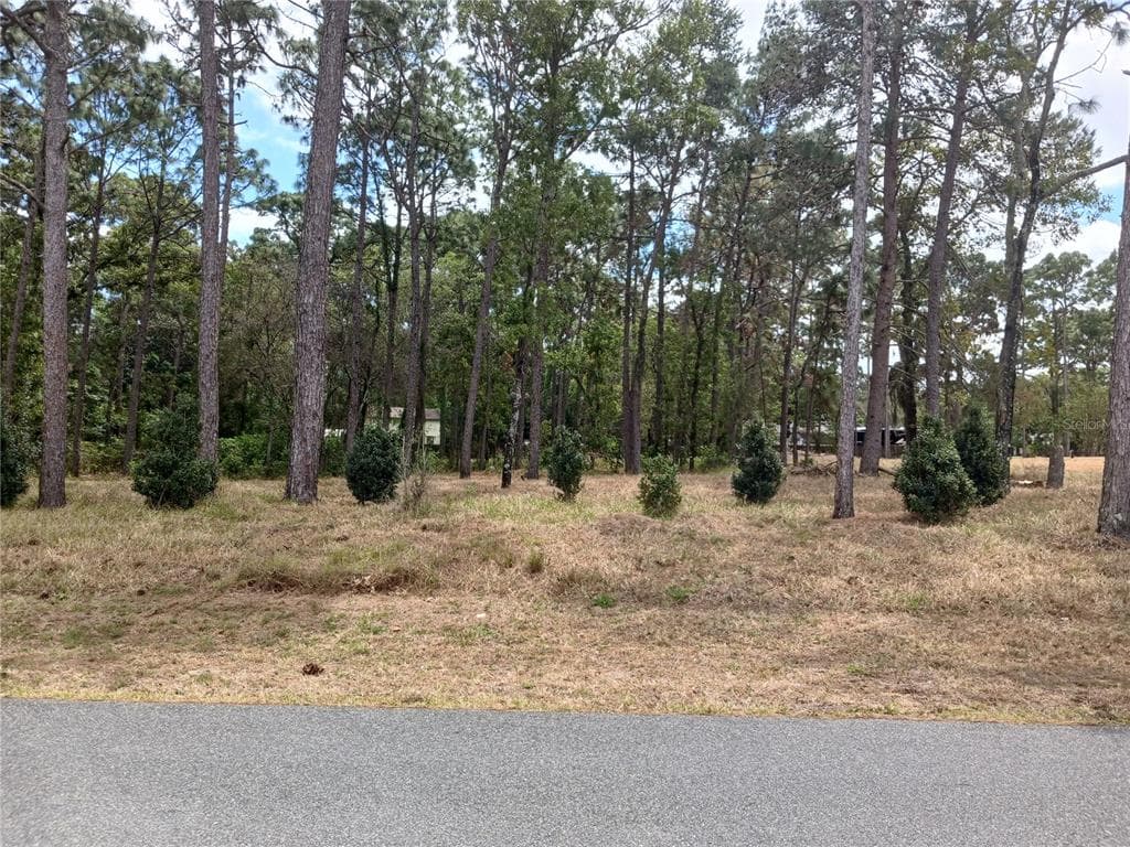 13110 FEATHER STREET SPRING HILL, FL 34609