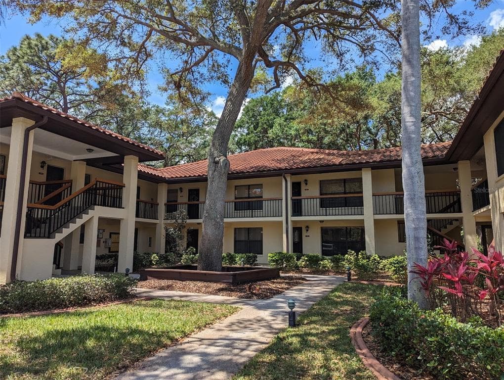 104 HAMMOCK PINE BOULEVARD CLEARWATER, FL 33761