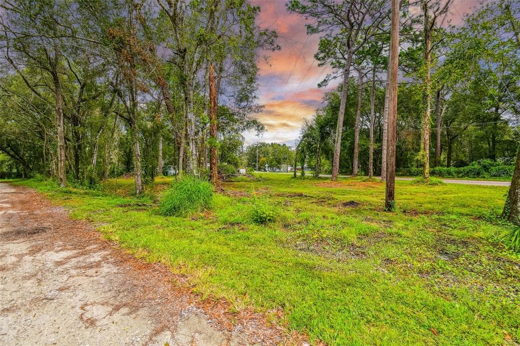 CHESAPEAKE DRIVE ODESSA, FL 33556