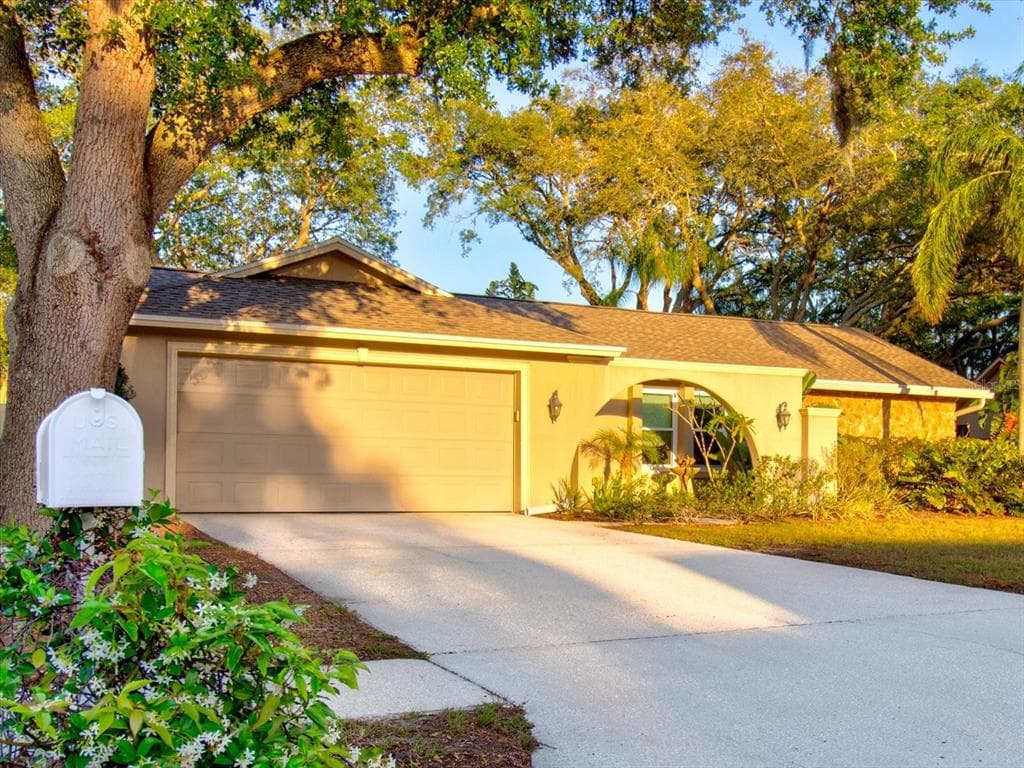 443 OAK BROOK TERRACE PALM HARBOR, FL 34684