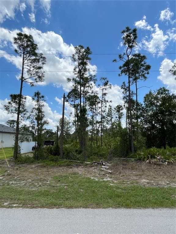 1126 EDELWEISS STREET E LEHIGH ACRES, FL 33974