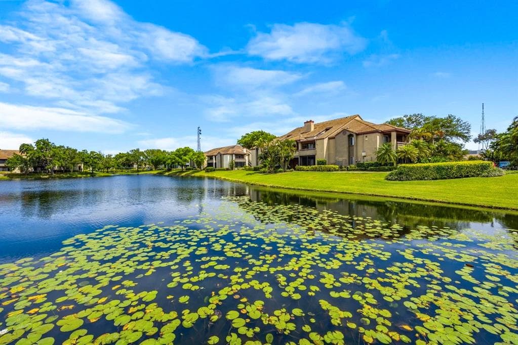 10263 GANDY BOULEVARD N UNIT 209 ST PETERSBURG, FL 33702