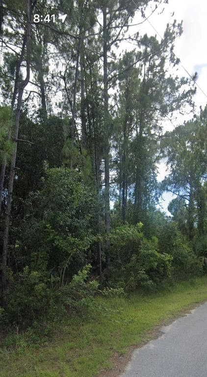 TRUMPET STREET NORTH PORT, FL 34291