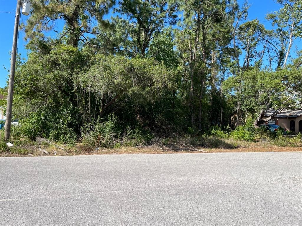 12099 LARAMORE STREET SPRING HILL, FL 34608