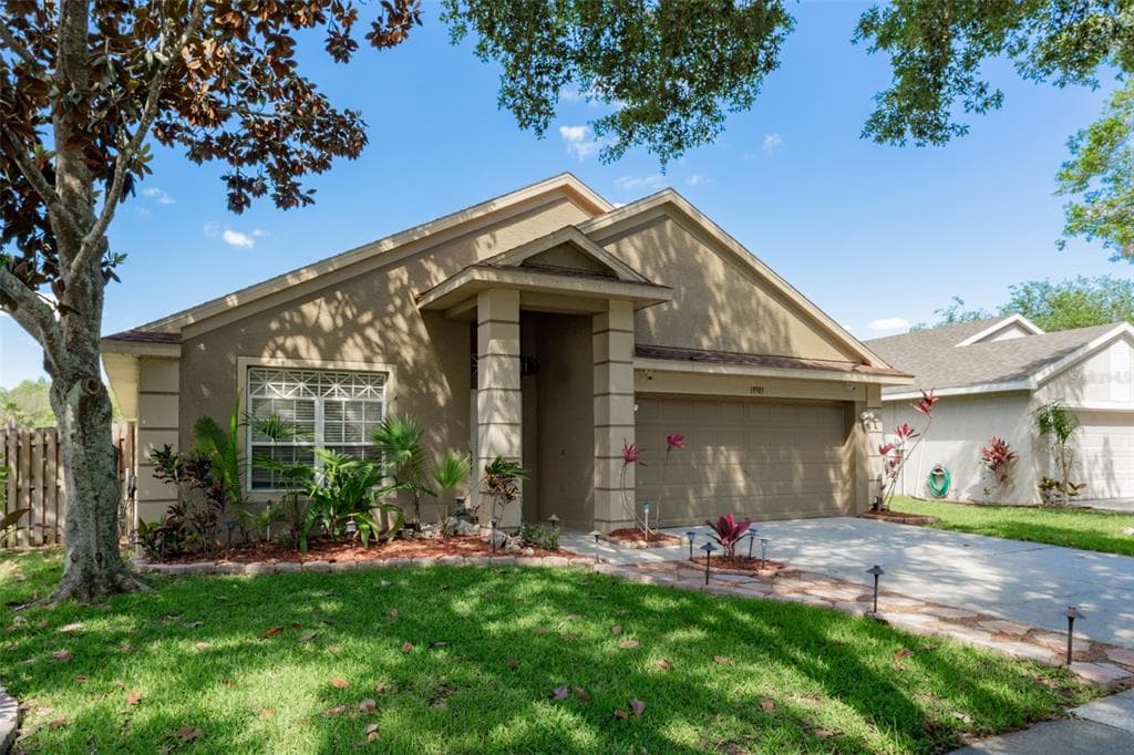 19503 MORDEN BLUSH DR LUTZ, FL 33558