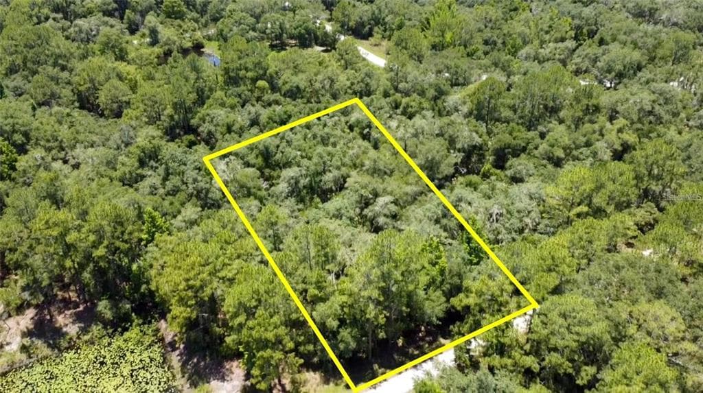 7281 SONIA AVENUE WEBSTER, FL 33597