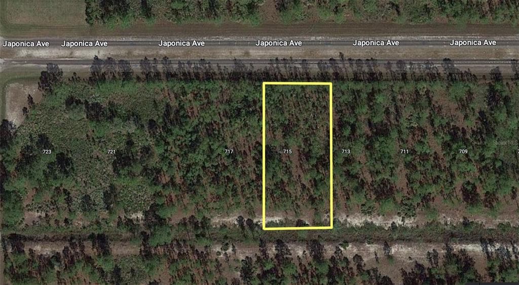 715 JAPONICA AVENUE INDIAN LAKE ESTATES, FL 33855