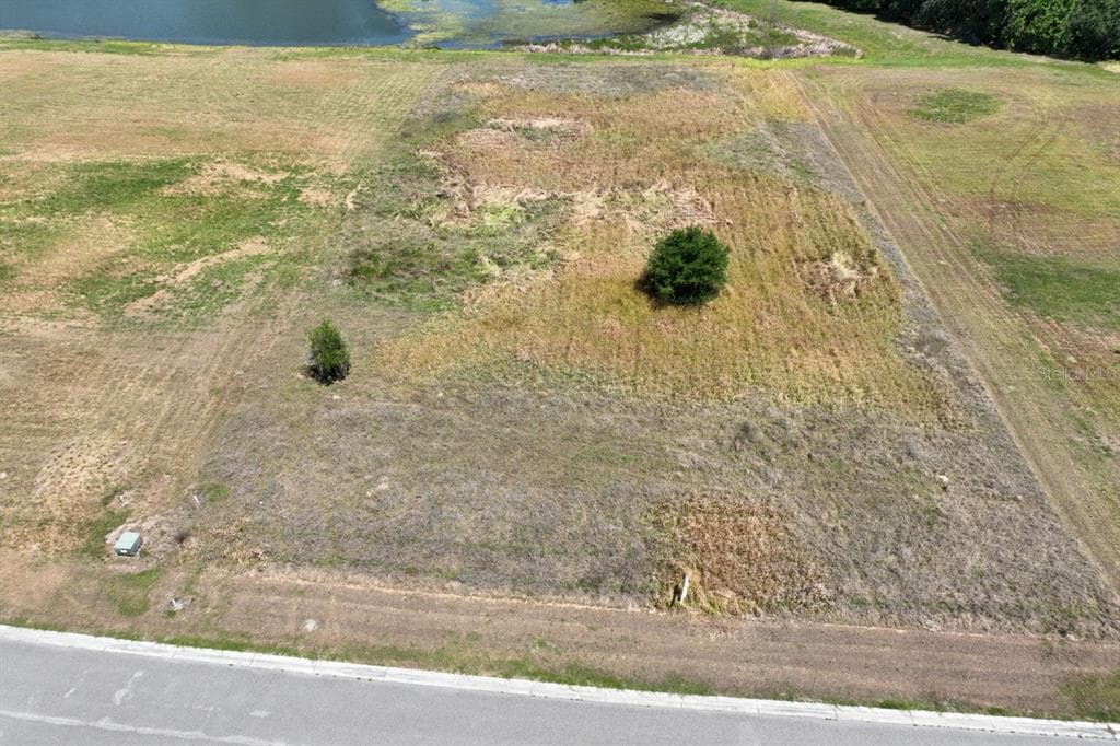 15318 FISHHAWK HEIGHTS RUN LITHIA, FL 33547