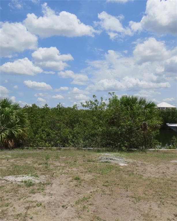 3123 CHRISTOPHERS WATCH LANE RUSKIN, FL 33570