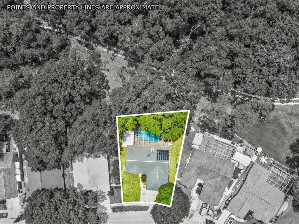 10258 BELLWOOD AVENUE NEW PORT RICHEY, FL 34654