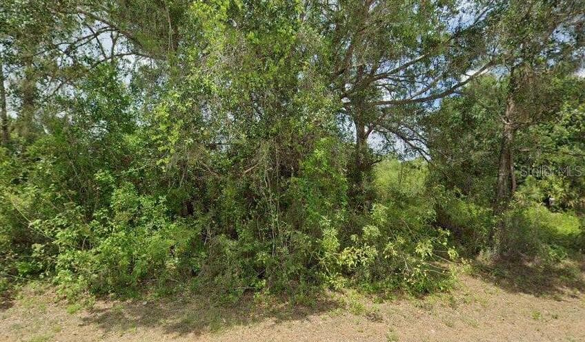 2002 W 18TH STREET LEHIGH ACRES, FL 33972
