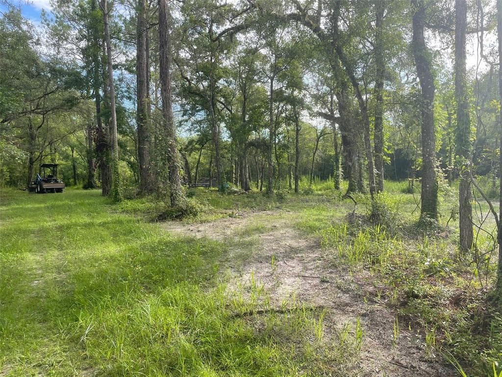 35103 SOAP STONE STREET WEBSTER, FL 33597