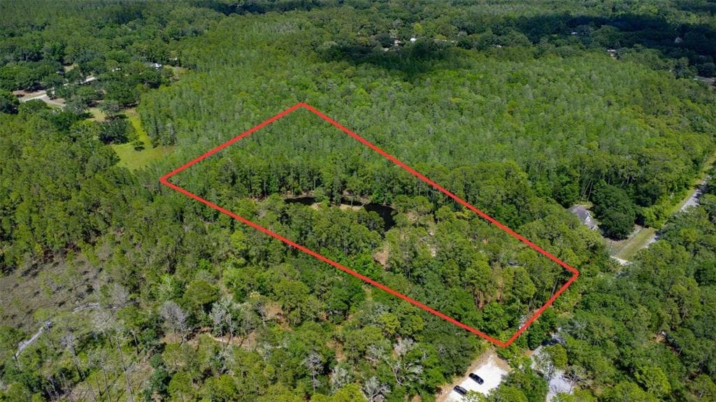 25653 QUEEN SAGO PLACE WESLEY CHAPEL, FL 33544