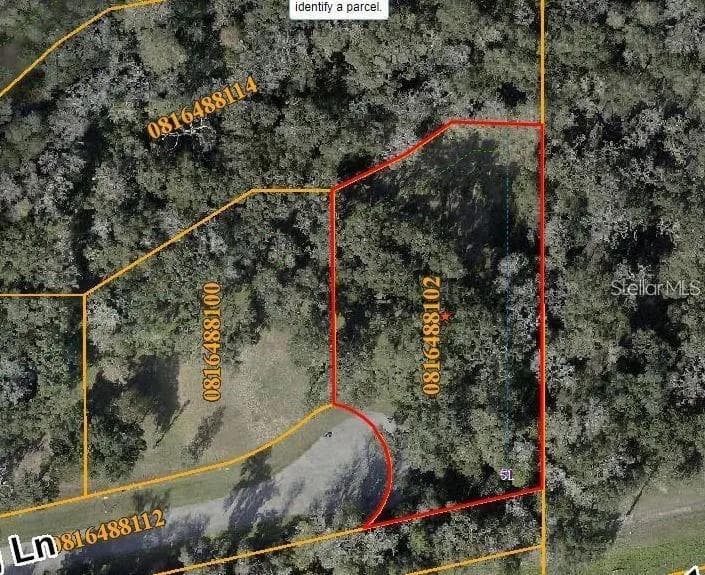 13226 CREEK CROSSING LANE DOVER, FL 33527