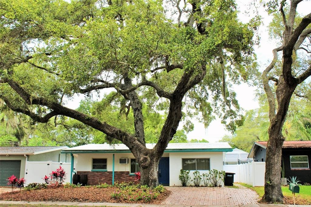 25 JOYCE STREET SAFETY HARBOR, FL 34695