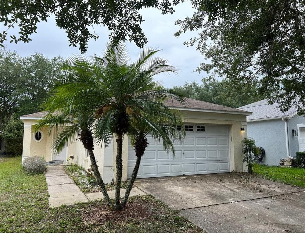 10513 BLACKMORE DRIVE TAMPA, FL 33647