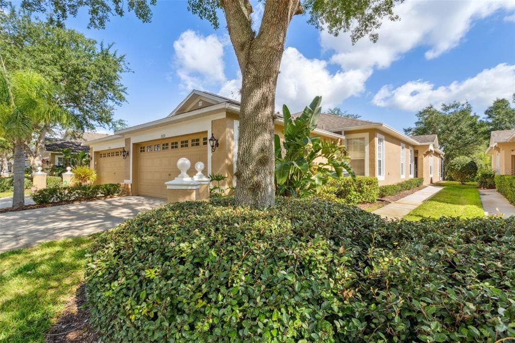 19174 LAKE AUDUBON DRIVE TAMPA, FL 33647