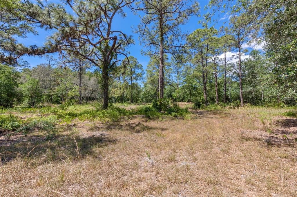 332 RANCH ROAD TARPON SPRINGS, FL 34688