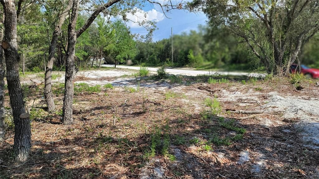 WOOD DRIVE HUDSON, FL 34667
