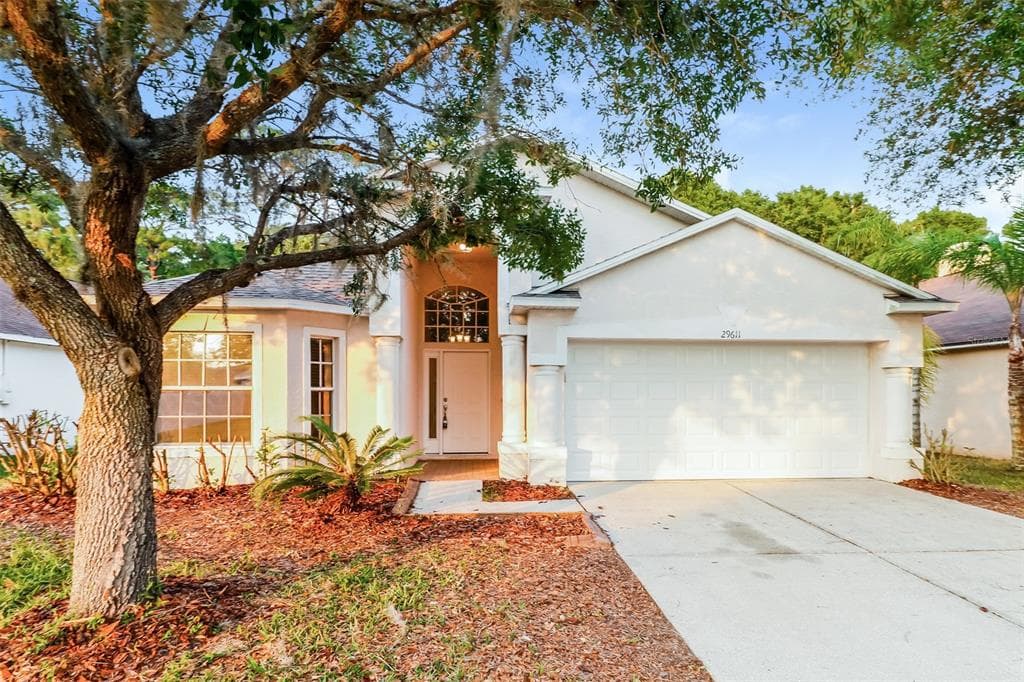 29611 BIRDS EYE DRIVE WESLEY CHAPEL, FL 33543