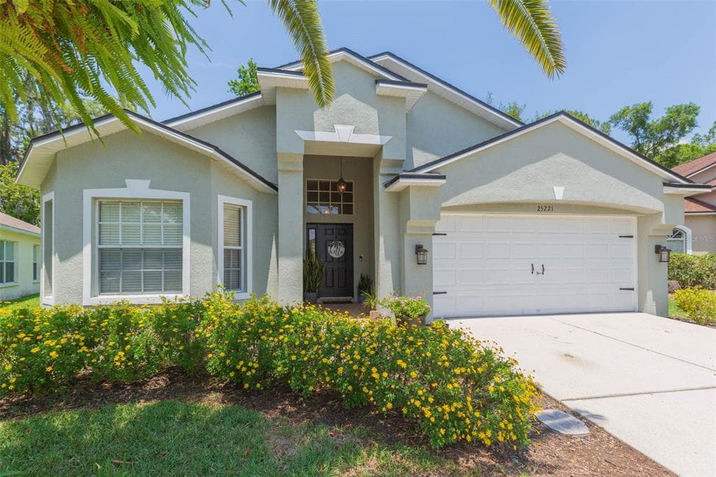 25221 GEDDY DRIVE LAND O LAKES, FL 34639