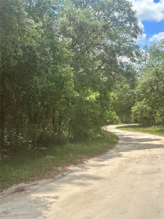TBD POND CIRCLE INTERLACHEN, FL 32148