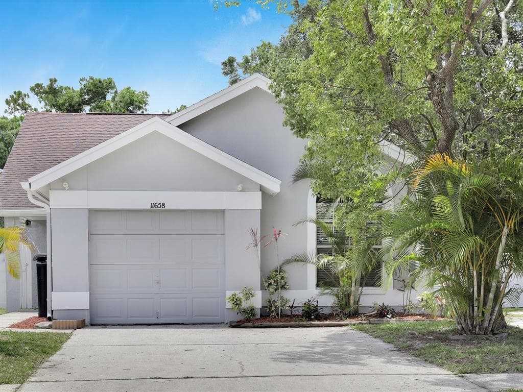 11658 SUNSHINE POND ROAD TAMPA, FL 33635