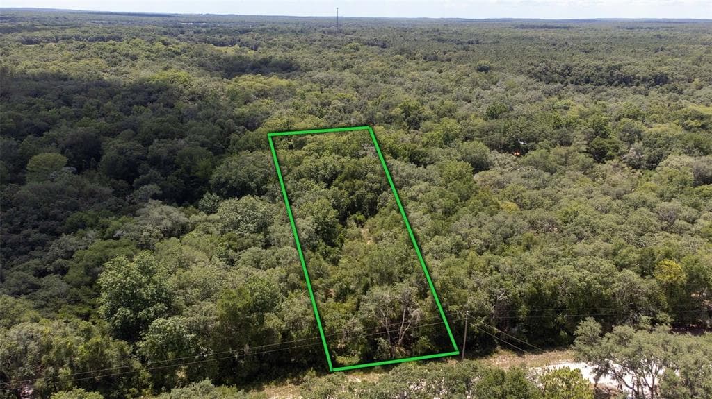 8451 STONE DRIVE WEBSTER, FL 33597