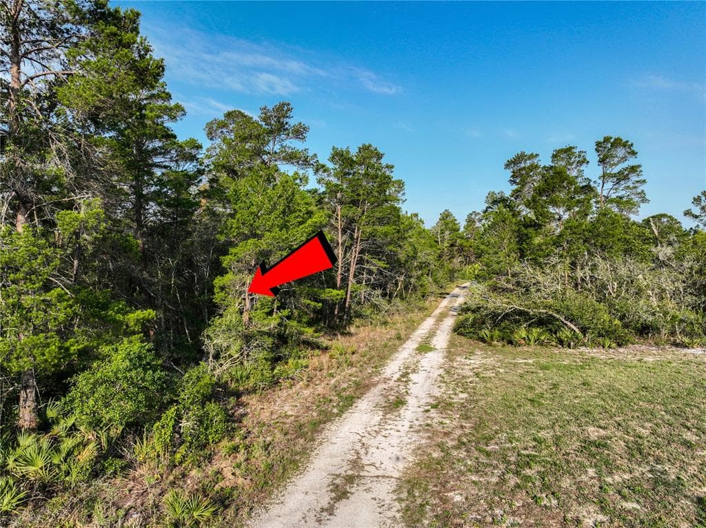 4825 REED AVENUE SEBRING, FL 33875