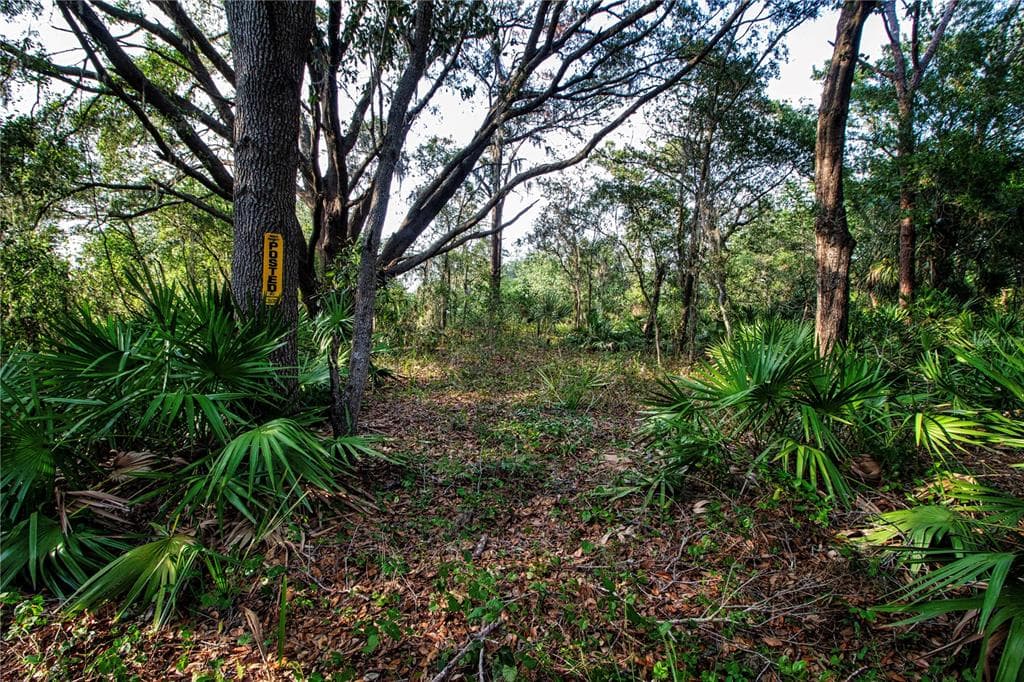 LONG RIFLE WIMAUMA, FL 33598