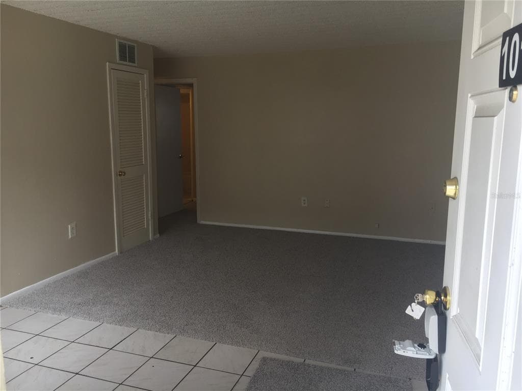 1347 BAYWATCH LOOP TAMPA, FL 33612