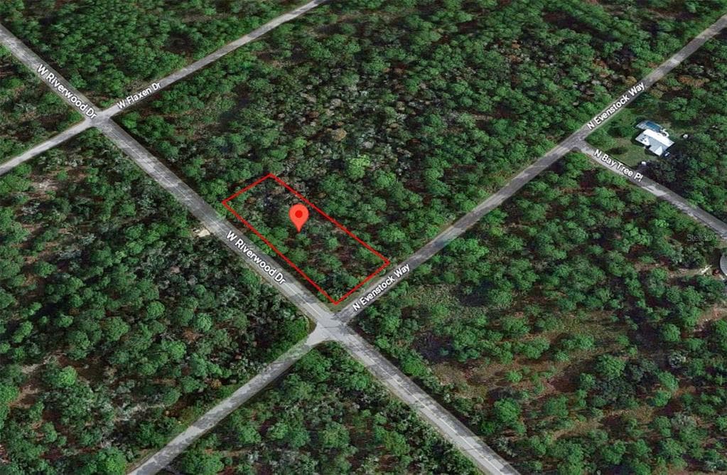 9305 N EVENSTOCK WAY CRYSTAL RIVER, FL 34428