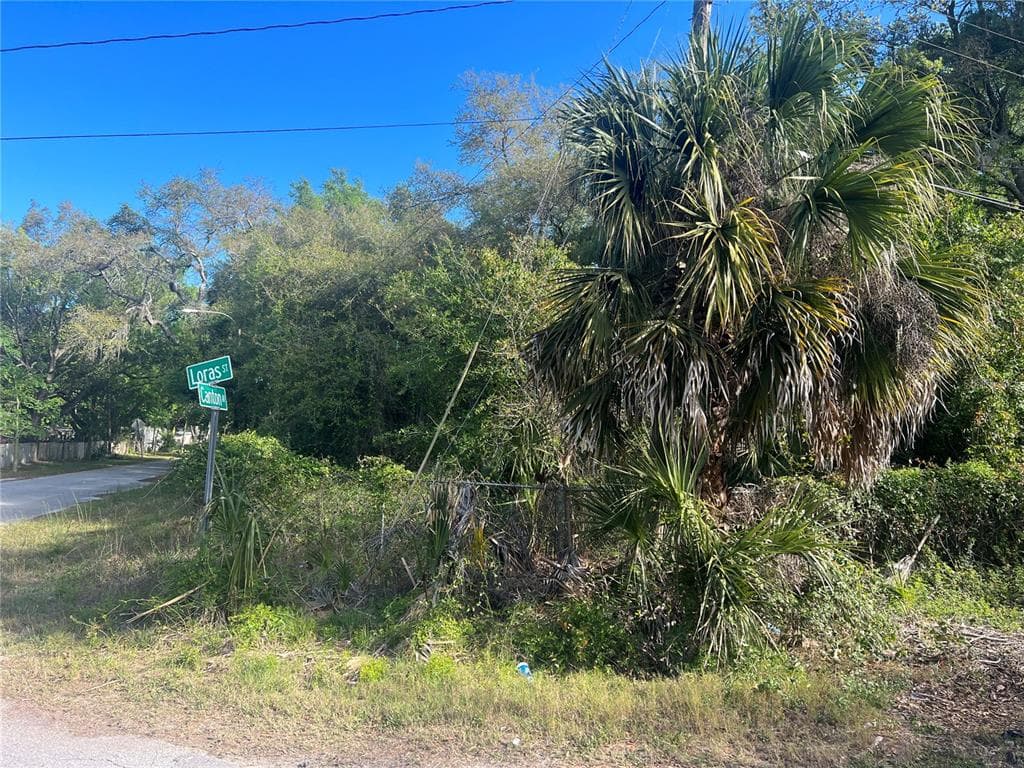 LORAS STREET NEW PORT RICHEY, FL 34654