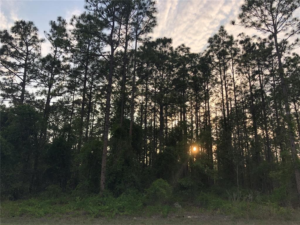 PENN STATE RD BROOKSVILLE, FL 34614
