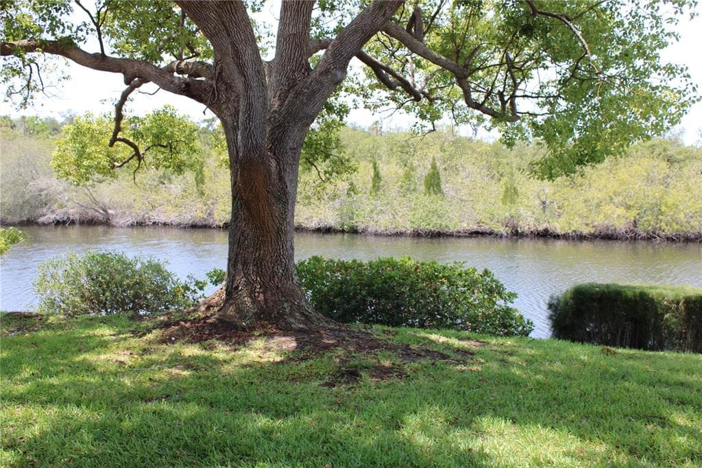 4114 HAMPTON DRIVE NEW PORT RICHEY, FL 34652