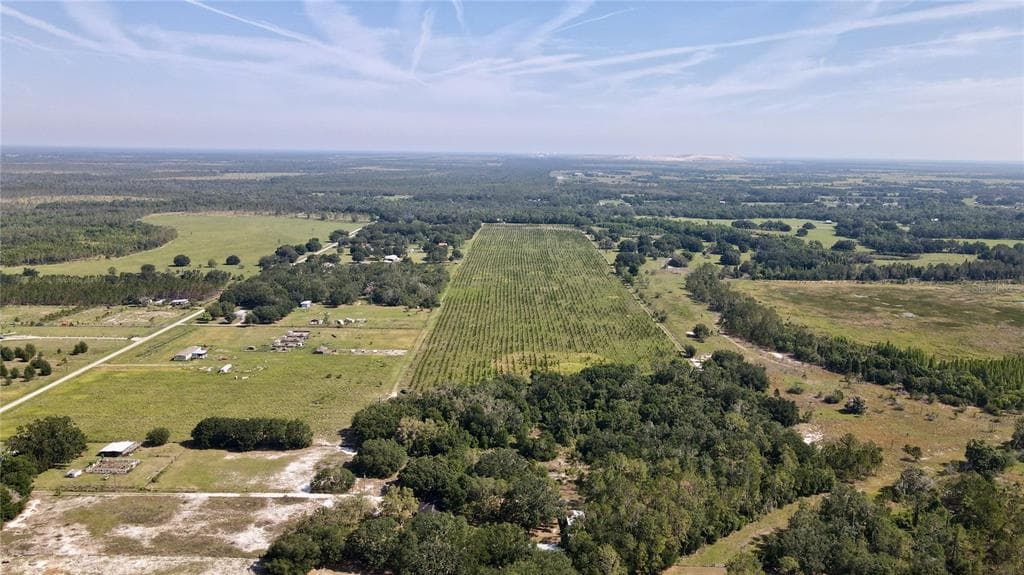 ALBRITTON LITHIA, FL 33547