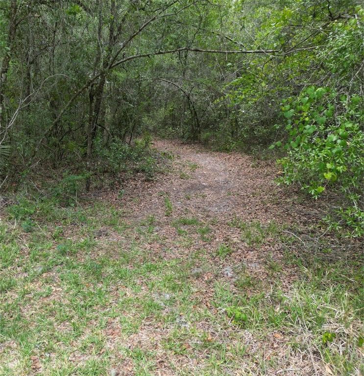 4701 E SHOREWOOD DRIVE HERNANDO, FL 34442