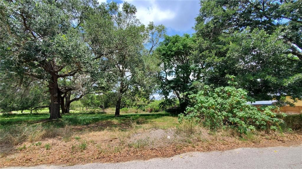 4605 E LAKE AVENUE TAMPA, FL 33610