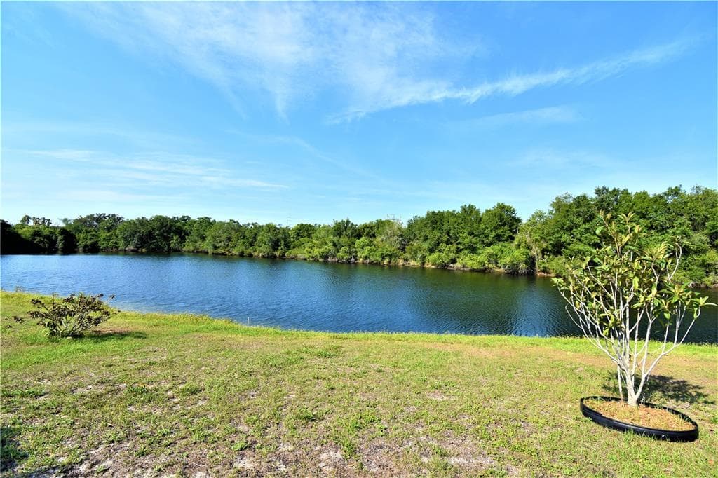 14022 CITRUS POINTE DRIVE TAMPA, FL 33625