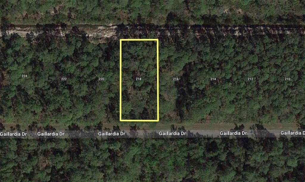 218 GAILLARDIA DRIVE INDIAN LAKE ESTATES, FL 33855