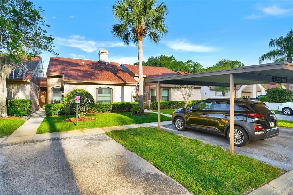 3436 HILLMOOR DRIVE PALM HARBOR, FL 34685