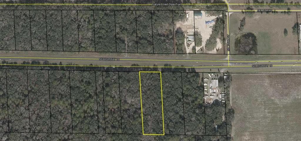 25022 SE HWY 19 OLD TOWN, FL 32680