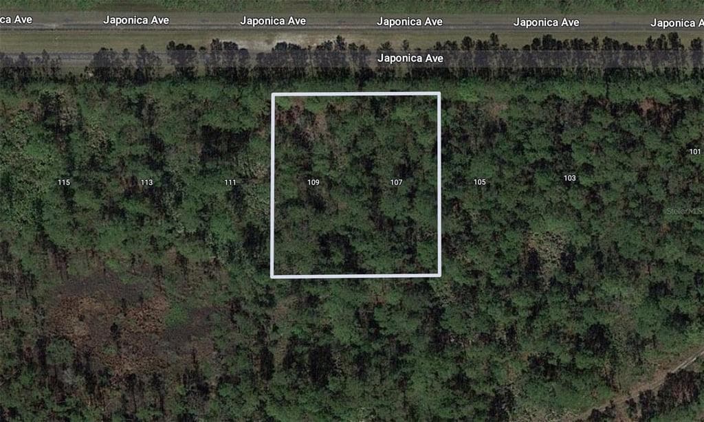 109 JAPONICA AVENUE INDIAN LAKE ESTATES, FL 33855