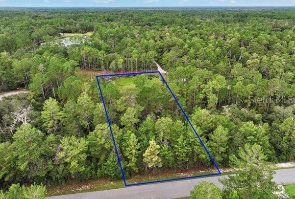 MANGO STREET EUSTIS, FL 32736