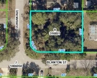 3300 DORIAN AVENUE SPRING HILL, FL 34606